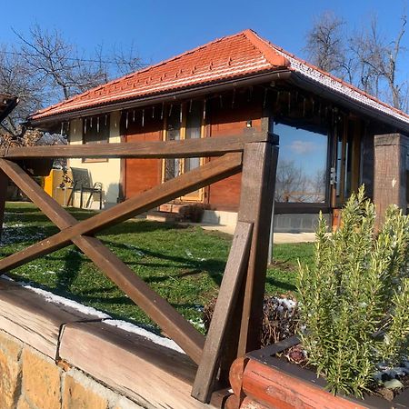 Apartmani Lunija ゴルニ・ミラノヴァツ エクステリア 写真