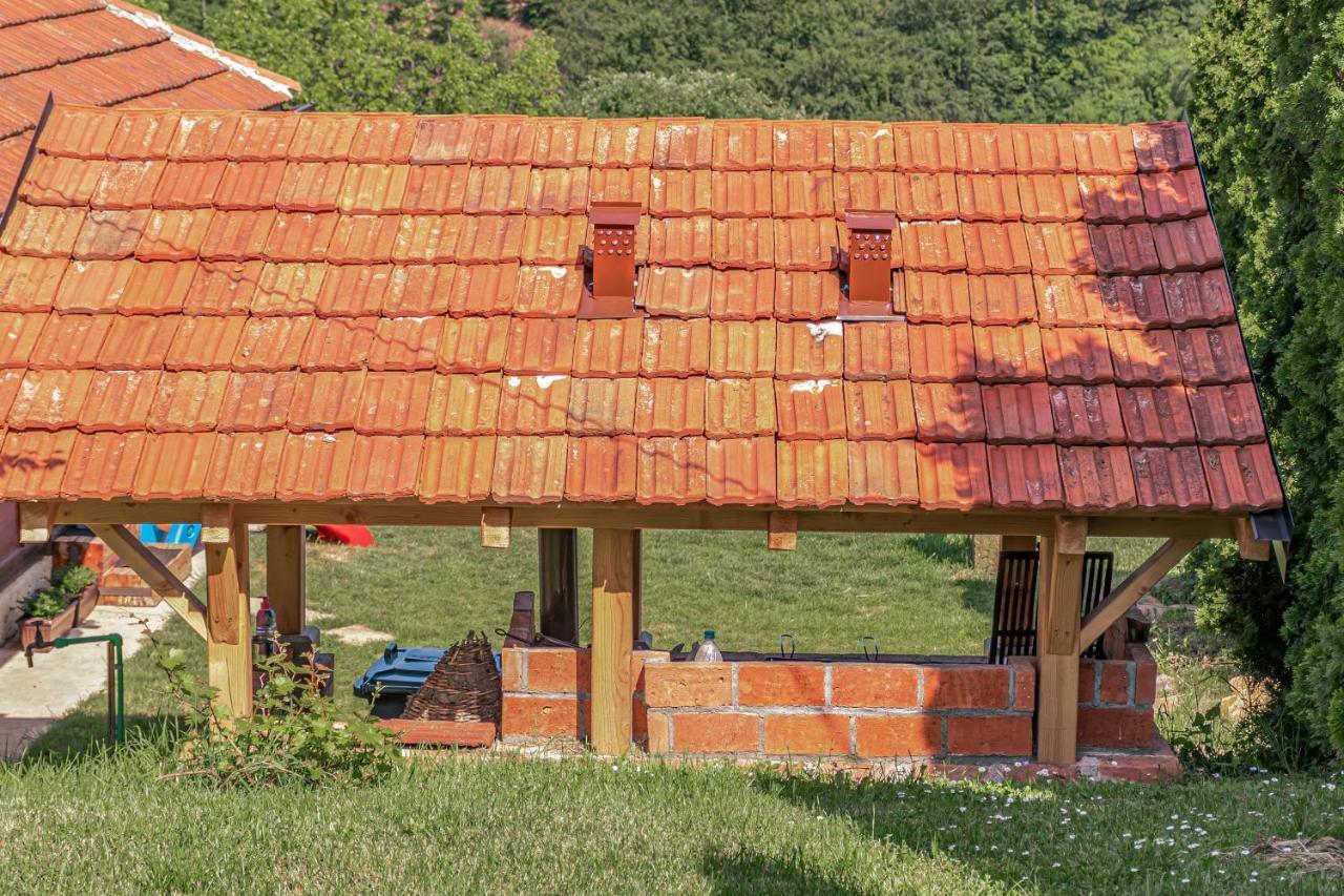 Apartmani Lunija ゴルニ・ミラノヴァツ エクステリア 写真