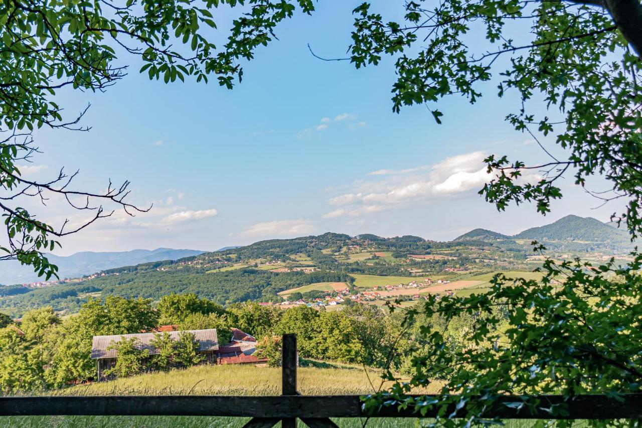 Apartmani Lunija ゴルニ・ミラノヴァツ エクステリア 写真