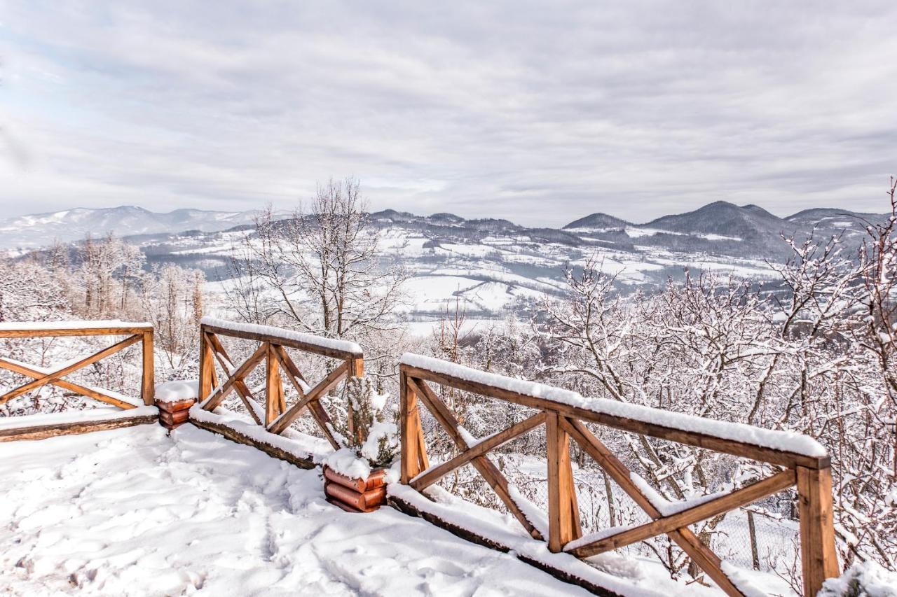 Apartmani Lunija ゴルニ・ミラノヴァツ エクステリア 写真