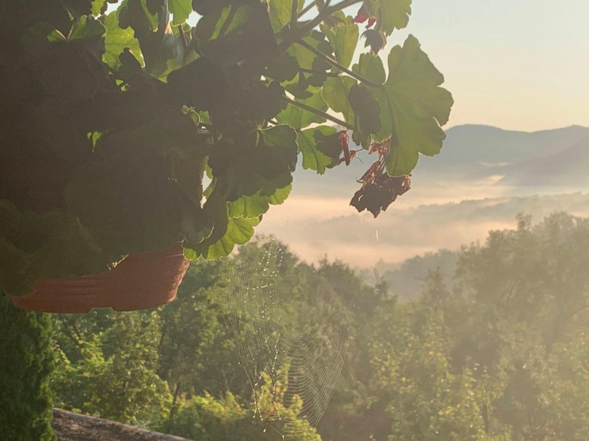 Apartmani Lunija ゴルニ・ミラノヴァツ エクステリア 写真